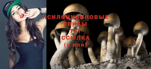 дмт Мегион