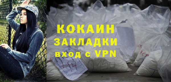дмт Мегион