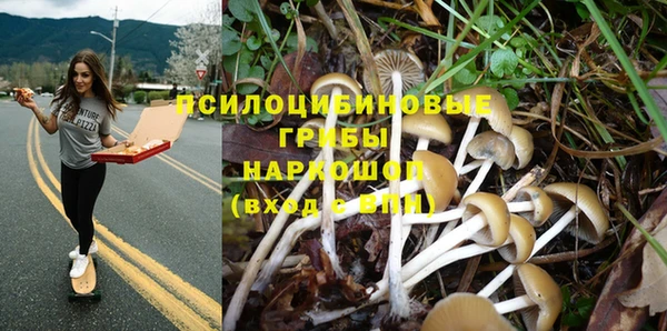 каннабис Магас
