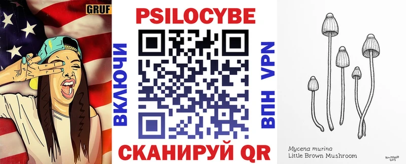 Галлюциногенные грибы Cubensis  Зея 